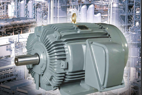 Ac Electric Motor (High Efficiency)