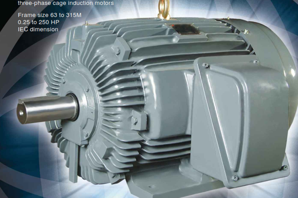 AC Electric Motor