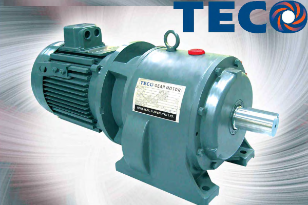 Gear Motor