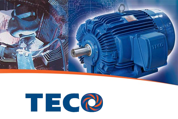 Hazardous Electric Motor